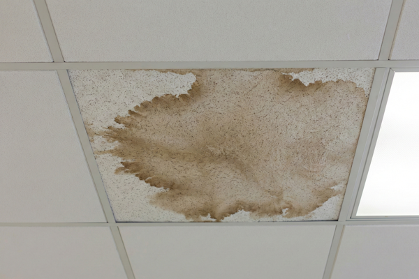 Rapid Response to Environmental Complaints or Health Concerns