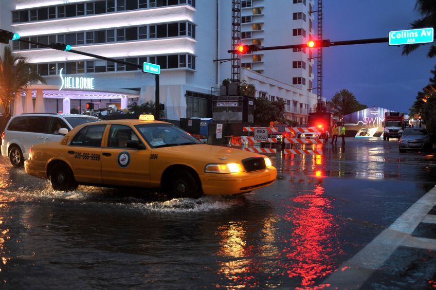Predictions for hurricane season include the need for mold testing
