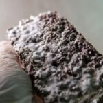 What is an asbestos survey