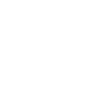 Professional Testing