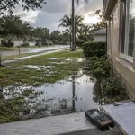 Mold Assessment, Testing, and Inspection in Orlando, FL: A Property Owner’s Guide