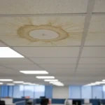Commercial Mold Assessment in Miami: The Report That Holds Up When a Claim Is on the Line